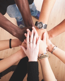 Lee county Notable Drug Busts