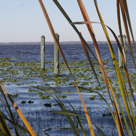 View of lake in Eustis