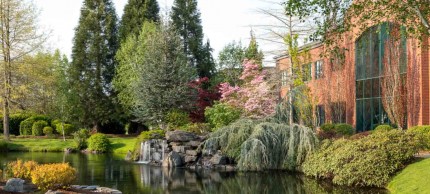 Salem, Oregon garden and pond