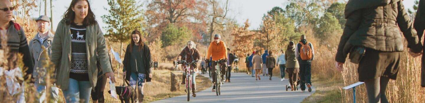 Drug Rehab Accent Image