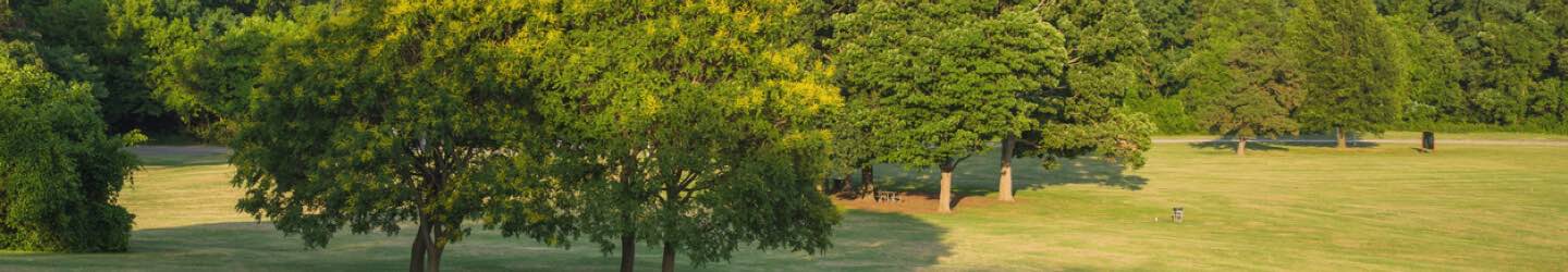Park in Philadelphia